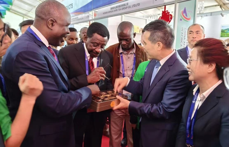 益陽黑茶香飄非洲 2024中非經(jīng)貿(mào)博覽會上的經(jīng)貿(mào)橋梁